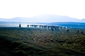 �����Ӵ��ԭ