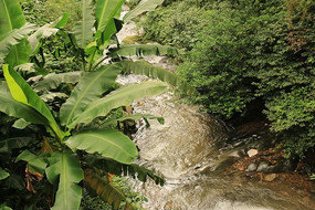 ɽ����ˮ��