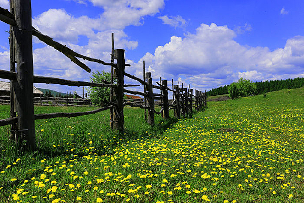 ʢ�����ѹ�Ӣ