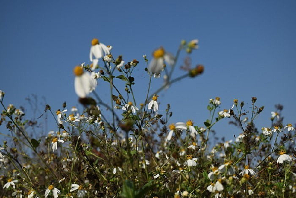 �����԰���һ��