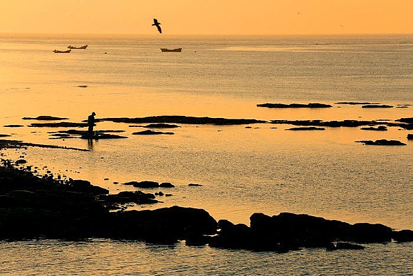 Ϧ���󺣷��