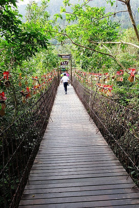 ������ѽŵ��