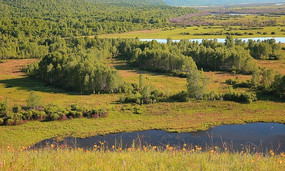 ������һ��