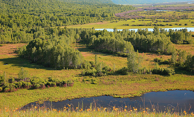 ������һ��