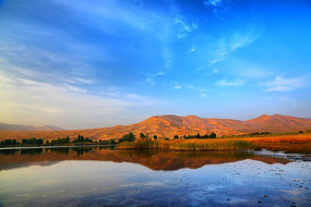 �͵�����ɳĮ����