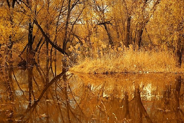 ����Ч��ͼ