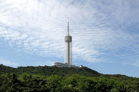 �����۹���