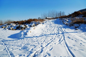 ���ǵ��ز�