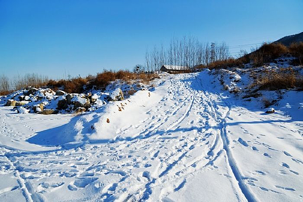 ���ǵ��ز�