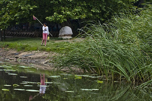 �����е���