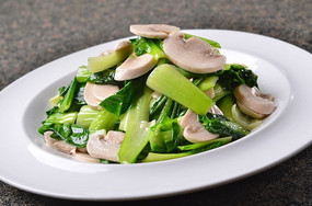 ��Ģ�����