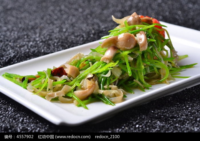 �����ݹ���ľ��ͼƬ