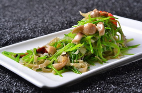 �����ݹ���ľ��