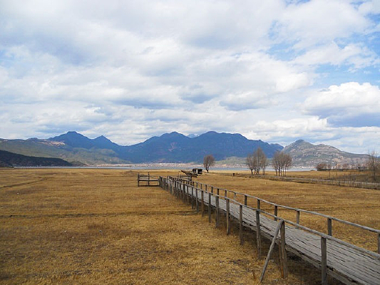 �����ݺ�