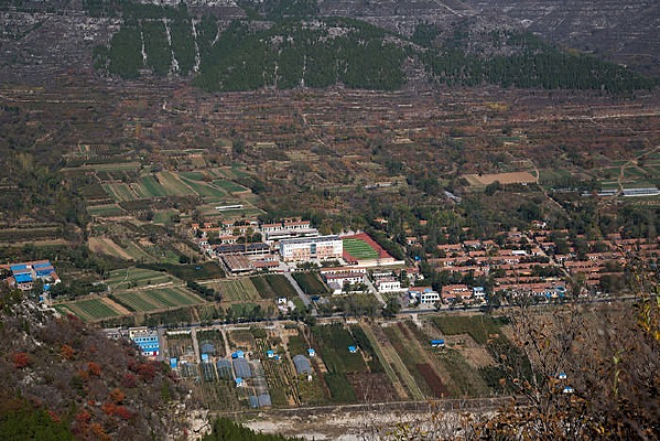 �����´�ׯ