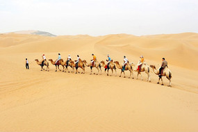 ���ɹ���ɳ��ɳĮ����