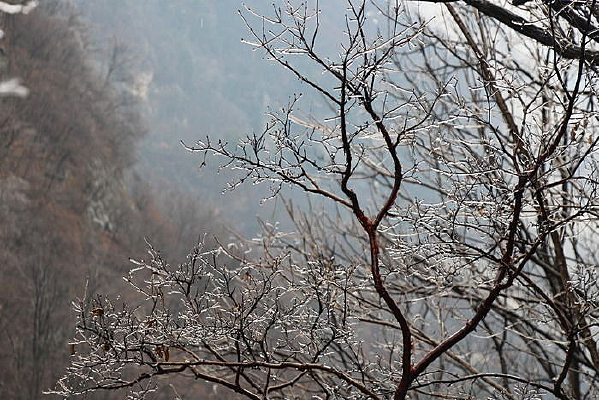 ��������ڡ