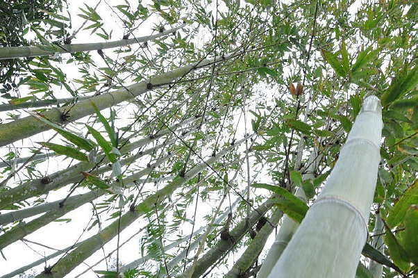 ��������һ��