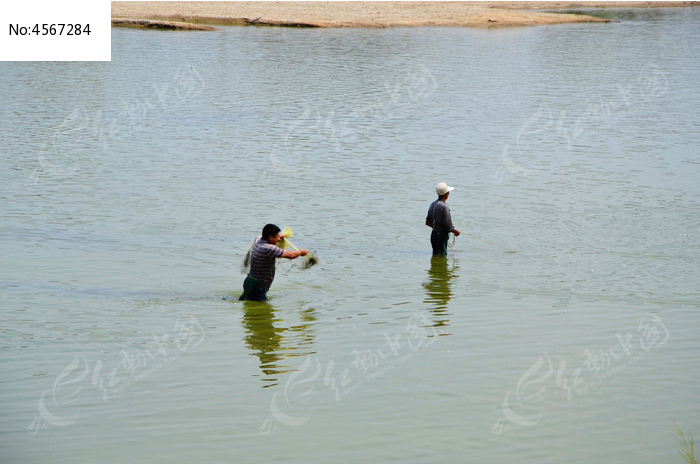 �ֺ��������������ͼƬ