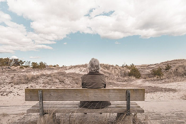 ����ľ��