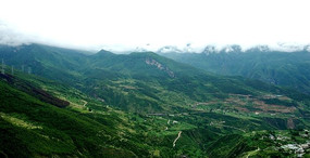 ���͵���