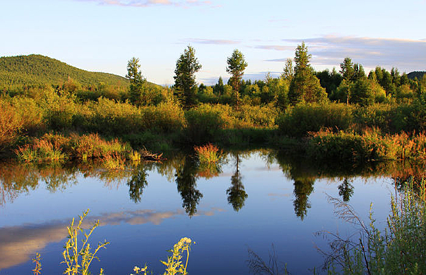 ��������