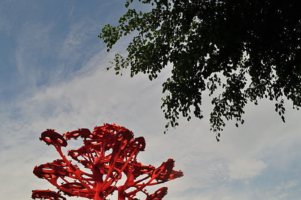 ��ɫ����ֵ���