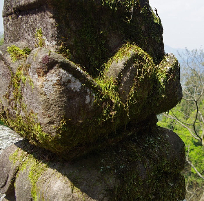 ����̦޺��ʯͷ