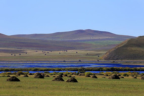 ���ױ�����������