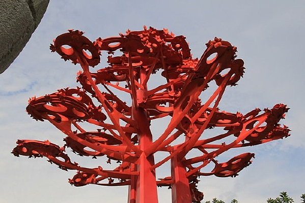 ��ɫ����