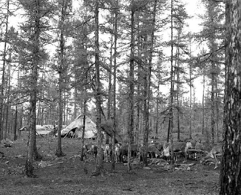 ���¿���