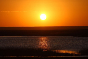 ��ϼ����