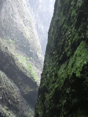 �����γɵĶ��͵�ɽ��