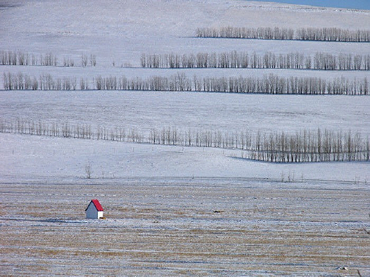 ����������