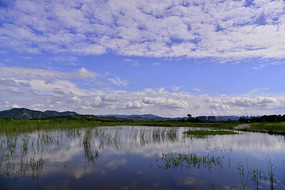 ɽ�������̲�