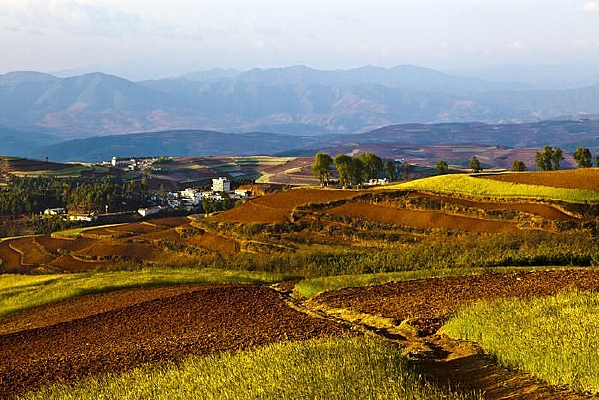 �������ɽ