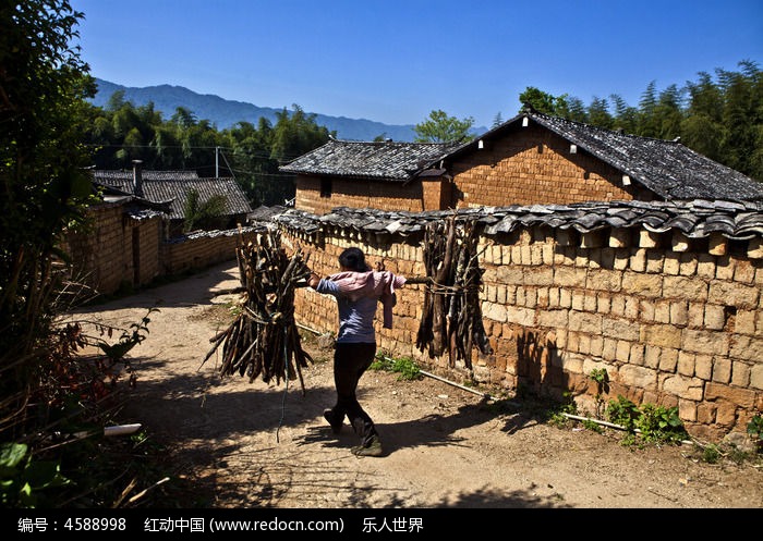 挑担子的乡村女人高清图片下载_红动中国