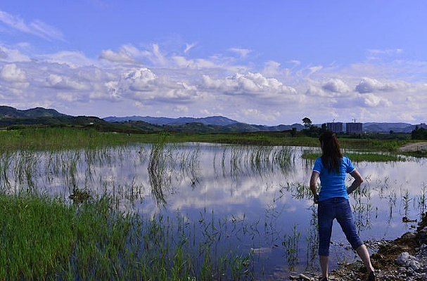 ˮ���ߵ�Ů��