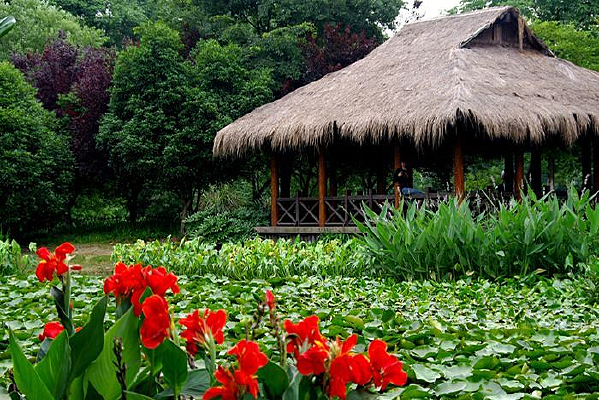 ����С��