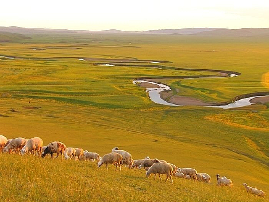 �ݳ�����