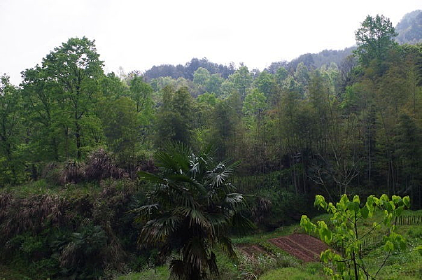 һ���޼�����