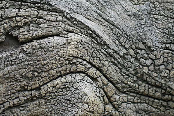 ľ������