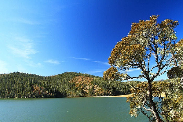 ����ˮ��