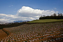 ���غ����