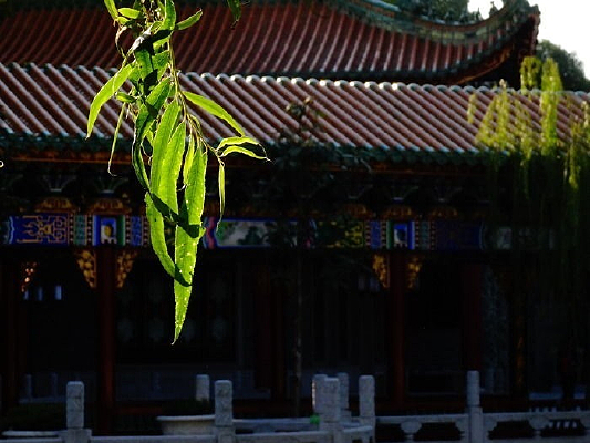 �Ž���չ��