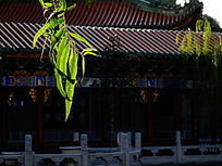 �Ž���չ��