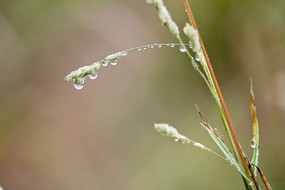 ��󻨲�����