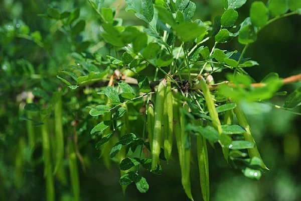 С������