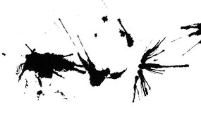 �ɽ���ī��