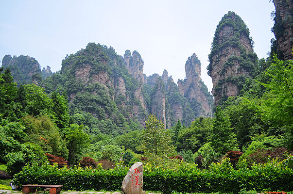 ɭ����Ȼ����